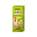 iConiksweet - Pop-In Chicken Chocolate – Saveur  Pistache