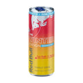Redbull Winter Sugarfree Pomme Fuji & Gingembre